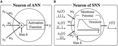 BayesianSpikeFusion: accelerating spiking neural network inference via Bayesian fusion of early prediction